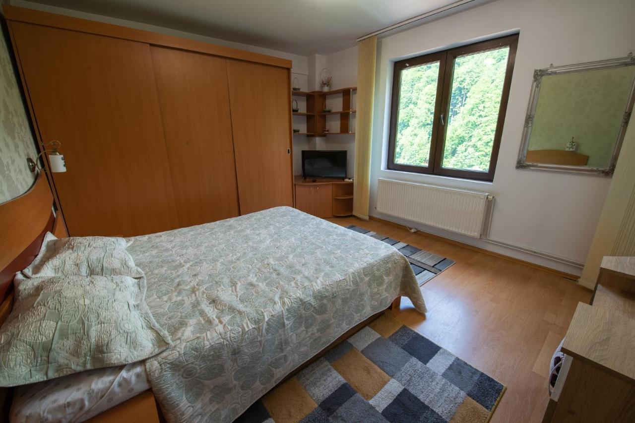Monik Apartament Sinaia Exterior photo
