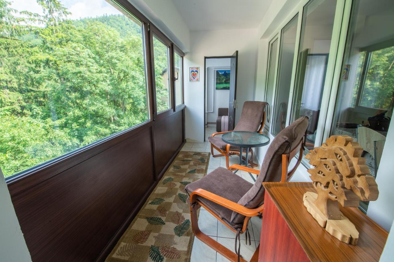 Monik Apartament Sinaia Exterior photo