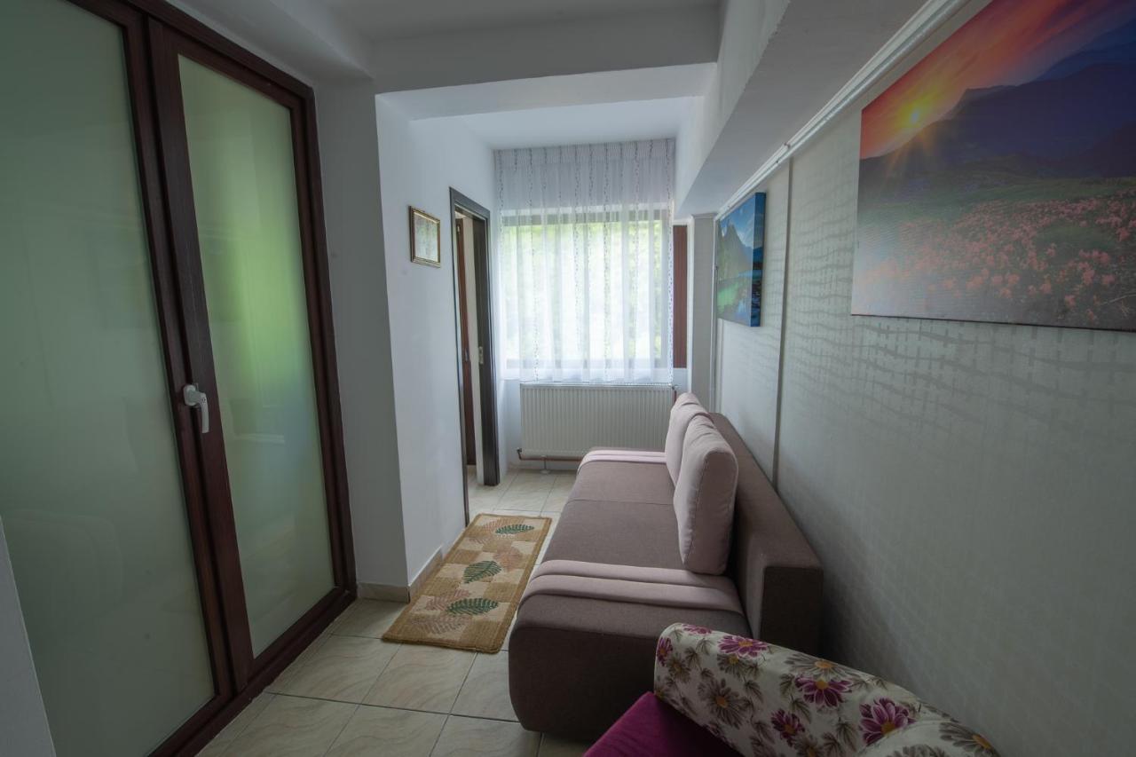 Monik Apartament Sinaia Exterior photo